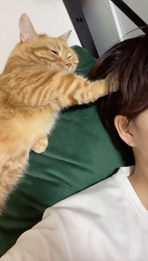 飼い主の頭を引き寄せる