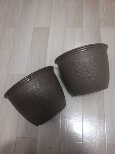 植木鉢から籠手