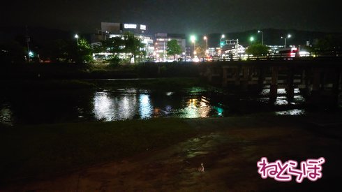 鴨川の川床から。川床は川の流れの上に作る床。鴨川を拡幅したとき、川床が流れから遠くなってしまったため、わざわざ川岸に水路を作ったそうです。「ブラタモリ」でやってました
