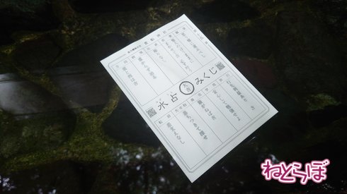 「水占みくじ」貴船神社のおみくじは白い紙。これを水に浮かべると運勢が浮かび上がります。よし大吉! 「商売　騒がねば吉」、炎上商法はダメね(笑)