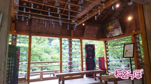 「京の涼さがし」風鈴イベント。貴船神社、三十三間堂、楊谷寺、東福寺では、風鈴や風車で夏の涼しさを演出する飾り付けを実施中