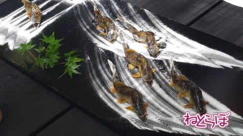 鮎さんが泳いでる!!　塩焼き済みなのに泳いでるよう。お盆に塩で水の流れを描く。枯山水みたい