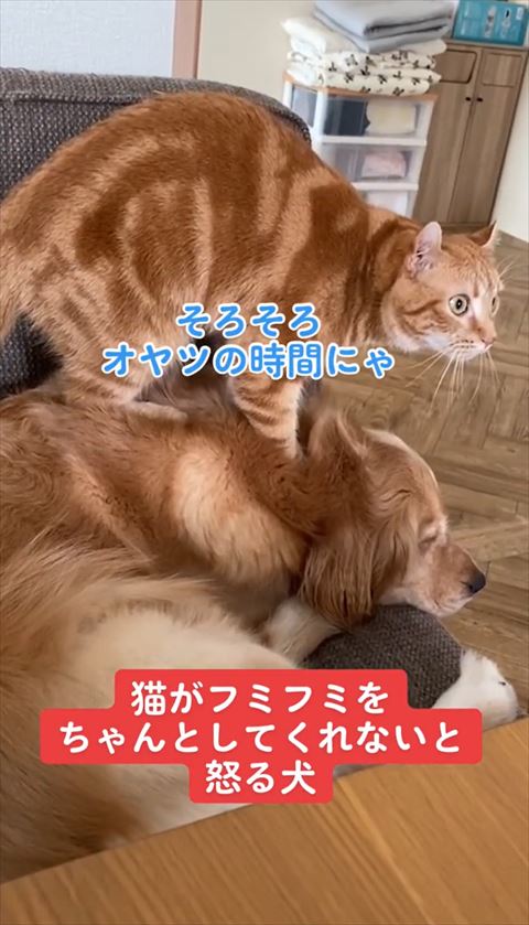 そろそろおやつテロップ