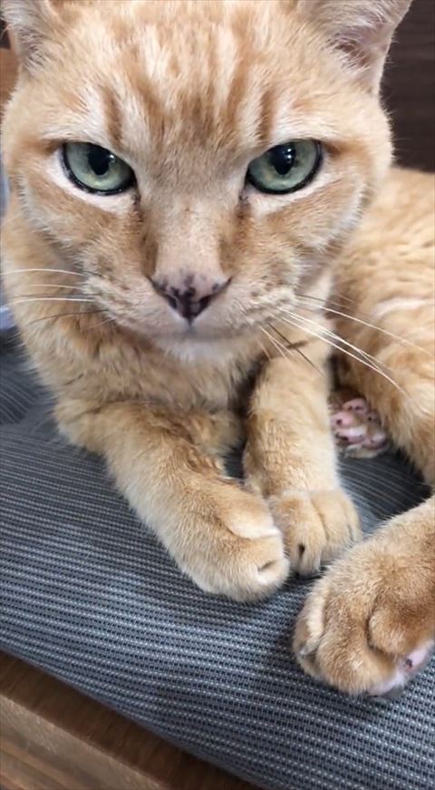 イスに座ってアップ