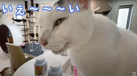 いえぇいテロップ