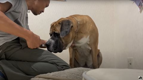 爪切りの匂いをかぐ