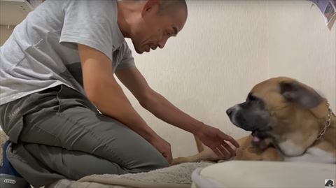 口をあけてる横顔