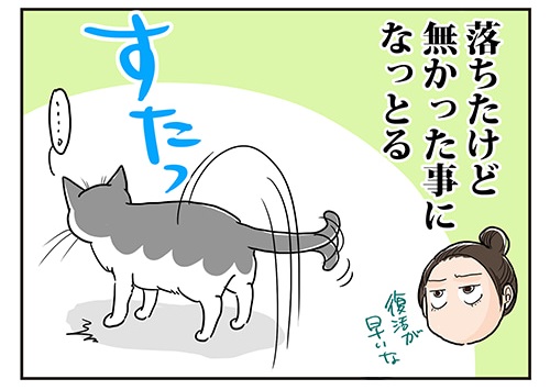 猫漫画5