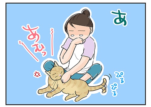 猫漫画10
