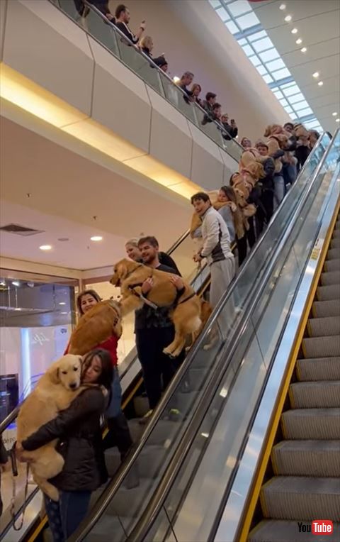 手前のクリーム色のワンコ