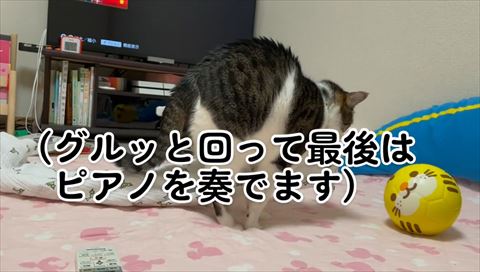 ぐるっと回ってテロップ