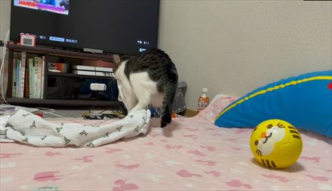 左後ろ足あげてる