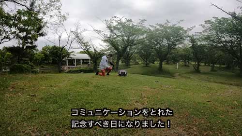 カラスと保護主