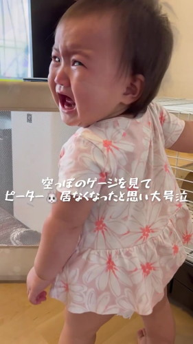 ウサギと女の子