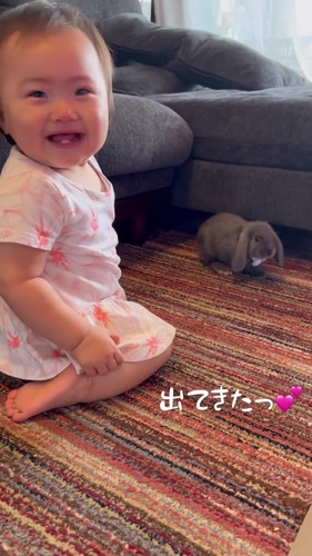 うさぎがいなくなったと思って大号泣