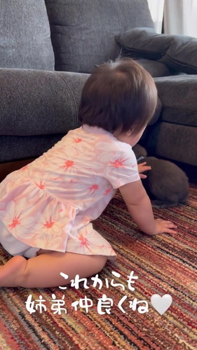 うさぎがいなくなったと思って大号泣