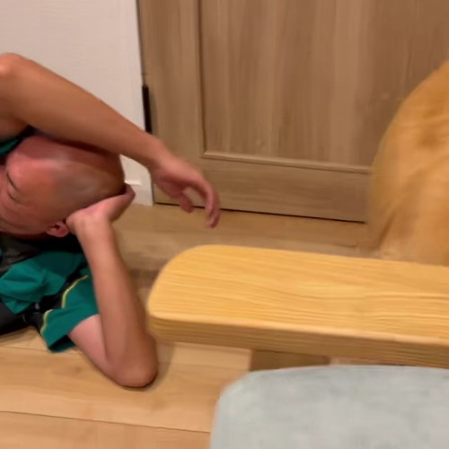 そっぽを向くワンコ