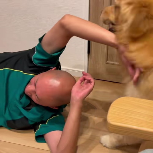 万歳するおとうさん