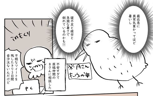 Twitter フォロワー SNS断ち