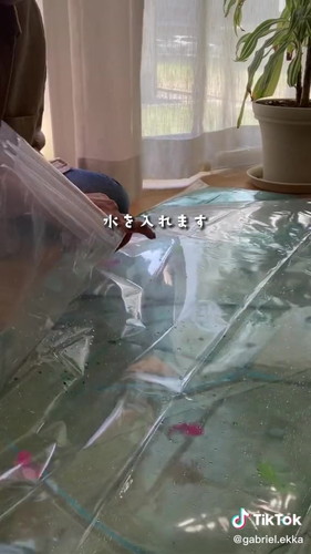 ヒヤッと気持ちいいプール