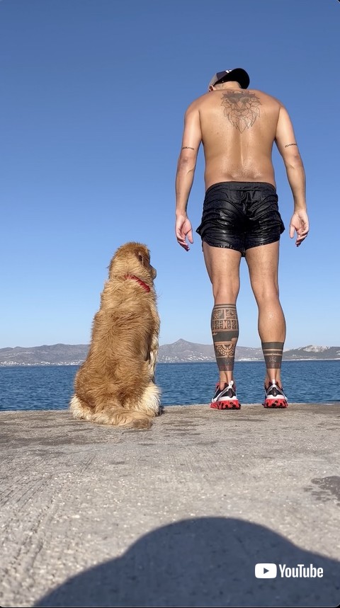 飛び込もうとする飼い主