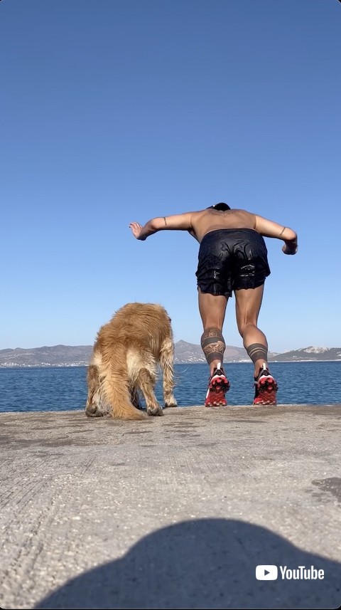 飛び込んだ犬と飼い主