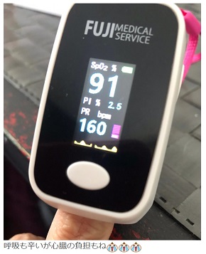 呼吸と心拍数の数値を示す広田レオナ