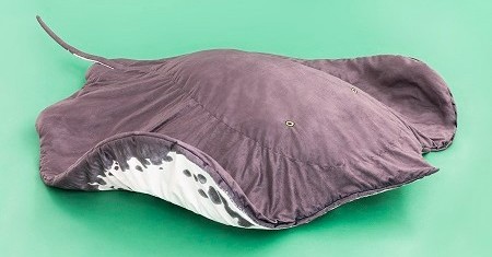 大きなエイに包まれたい…… 世界最大の淡水エイを原寸大で再現