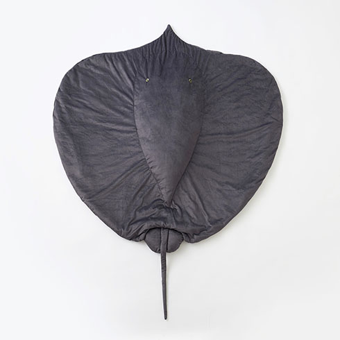 エイのブランケット・外側