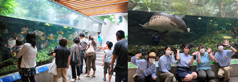 エイのブランケット・