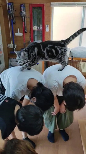 背中を渡るメイちゃん