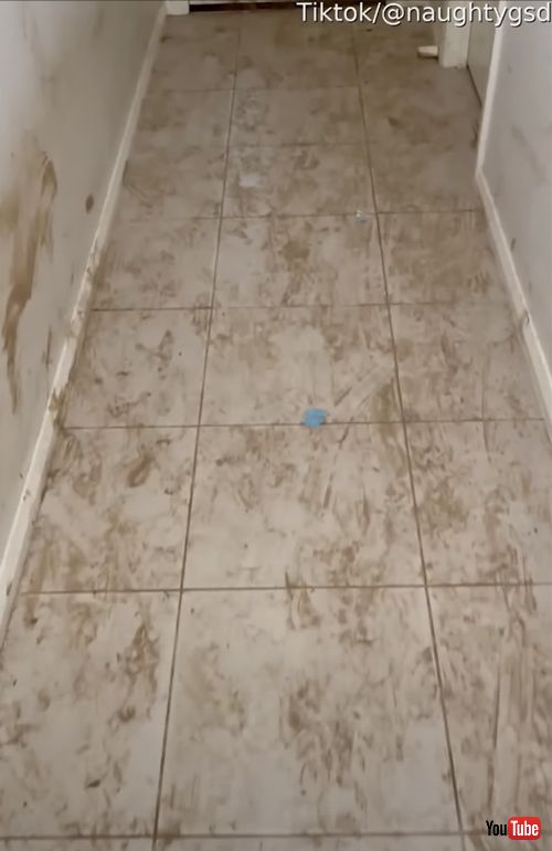 家中泥だらけにしたワンコ