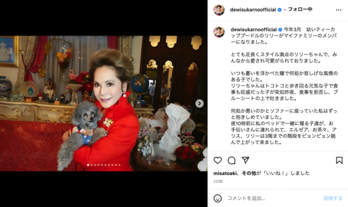 デヴィ夫人のティーカッププードル愛犬リリーが天国へ