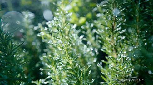 新垣結衣が出演した「ビオリス」の新CM