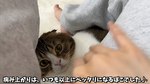 ひざの下で遊ぶぽこちゃん