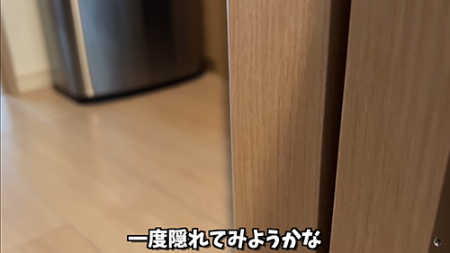 いったん隠れて見ようかな