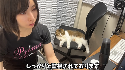 お仕事監視ぽこちゃん