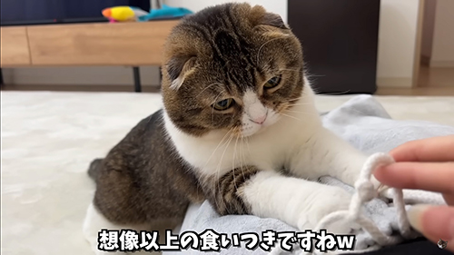 想像以上の食いつき