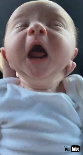 「Newborn Baby Has Sneezing Fit || ViralHog」