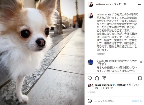 神田沙也加の愛犬