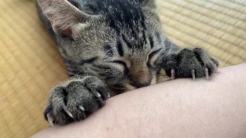 眠くなってきた