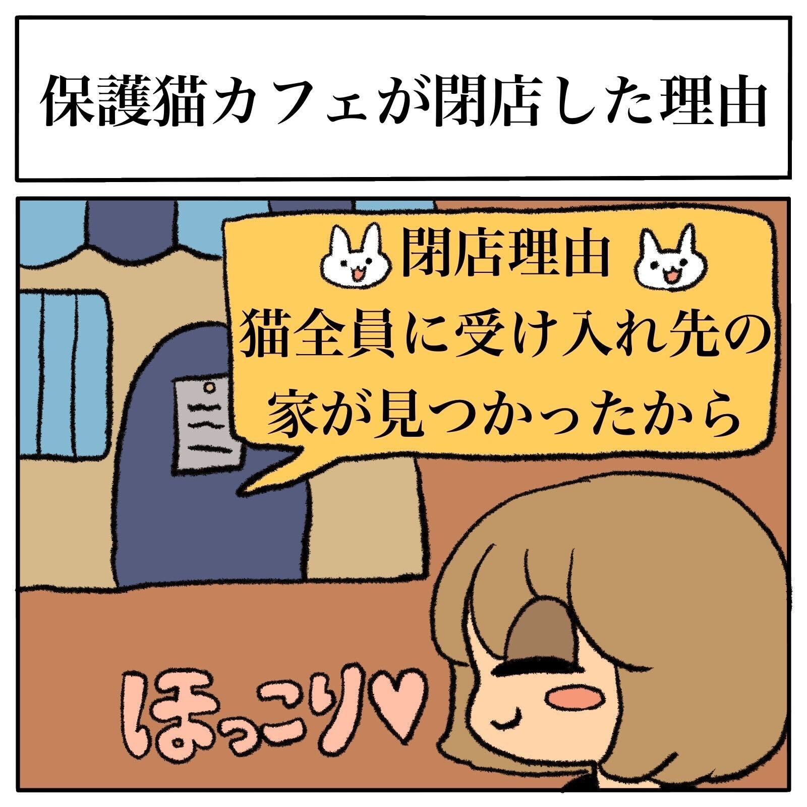 地域の保護猫カフェが閉店した意外な理由　温かな経緯に「ほっこり」「幸せな気持ちになりました」