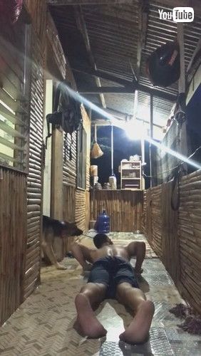 腕立て伏せの邪魔をする犬