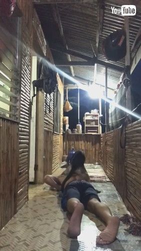 腕立て伏せの邪魔をする犬