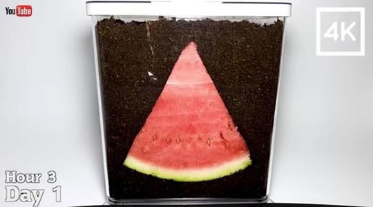 ねとらぼ記事まとめ