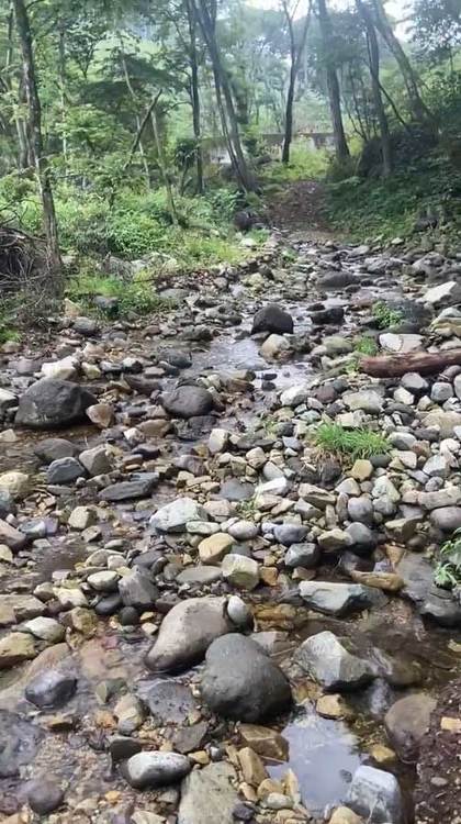 ねとらぼ記事まとめ