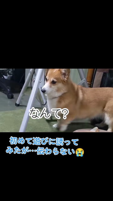 なんて？