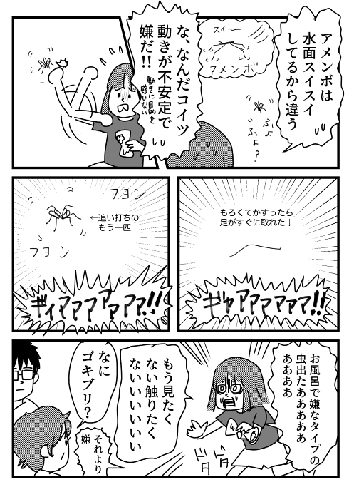 ガガンボ 害虫 蚊蜻蛉