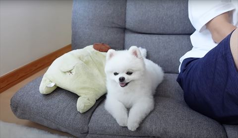 うとうと