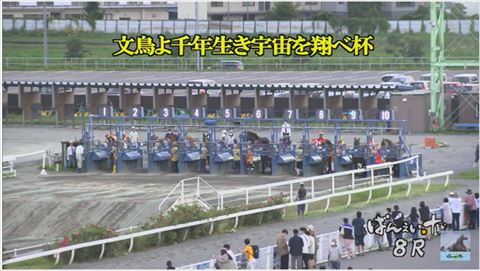 「文鳥よ千年生き宇宙を翔べ杯」